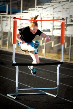 Form Finder Hurdle Trainer