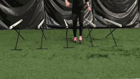 VS Adjustable Training Hurdle